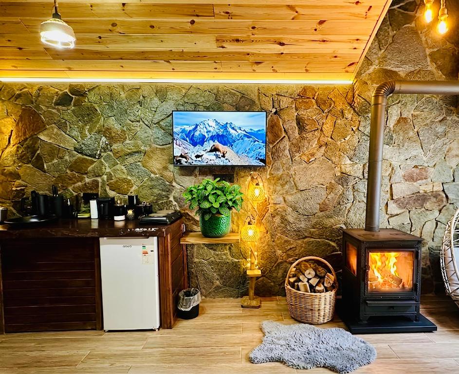 Superior Bungalow şömine ve mutfak alanı