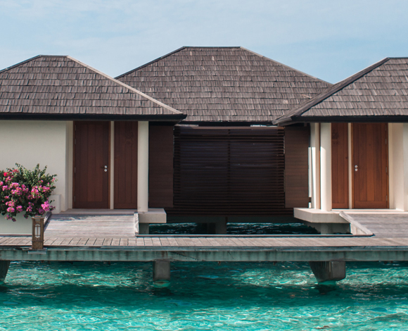 All cases for the past week ?