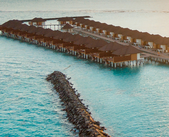 In time you’ll run a hotel ?